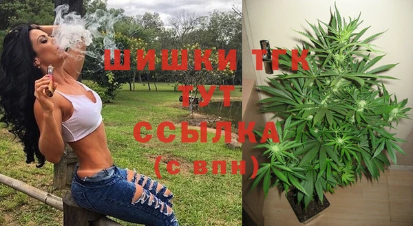 мдпв Навашино