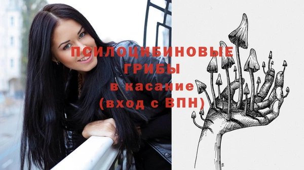 PSILOCYBIN Нефтекумск