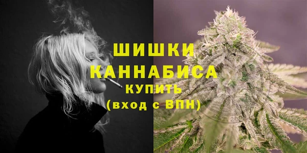 мдпв Навашино