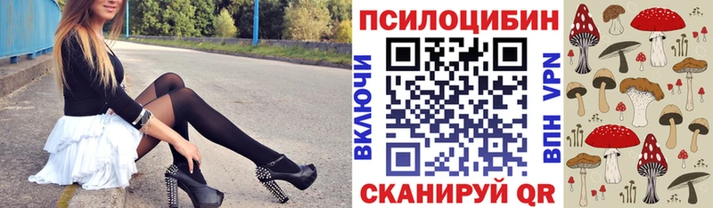 даркнет сайт  Петровск  Псилоцибиновые грибы MAGIC MUSHROOMS 