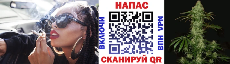 гидра сайт  Петровск  Бошки марихуана тримм  цены наркотик 
